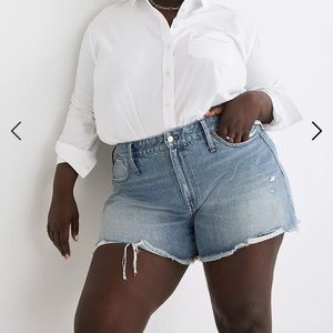 EUC Madewell Relaxed Denim Shorts in Renfield Wash: Destructed Edition Sz.16W